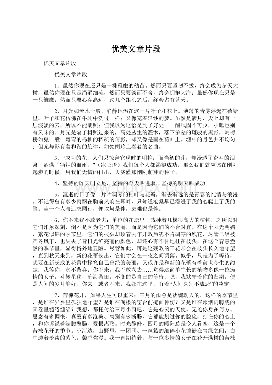 优美文章片段Word文档格式.docx