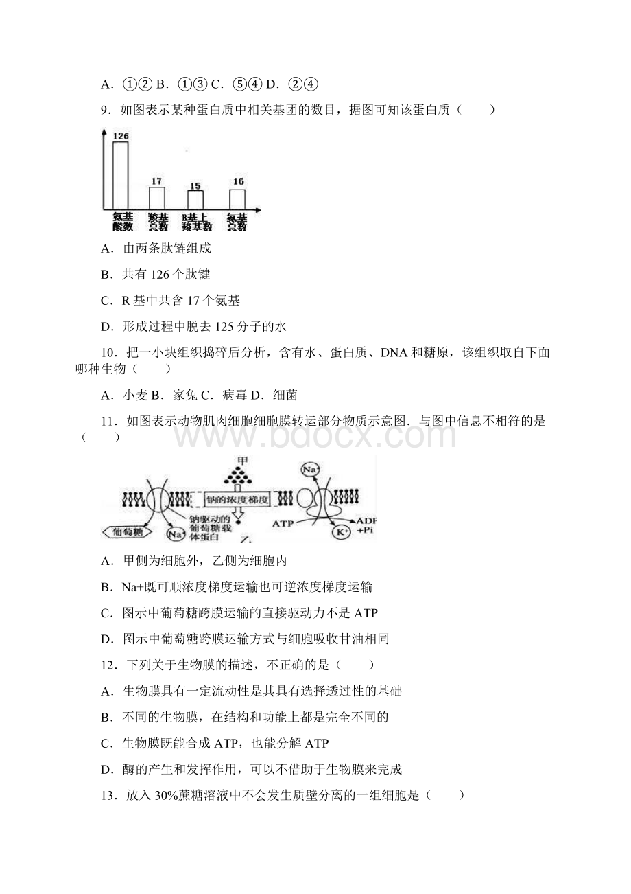 山东省枣庄八中东校区学年高一上学期月考生.docx_第3页