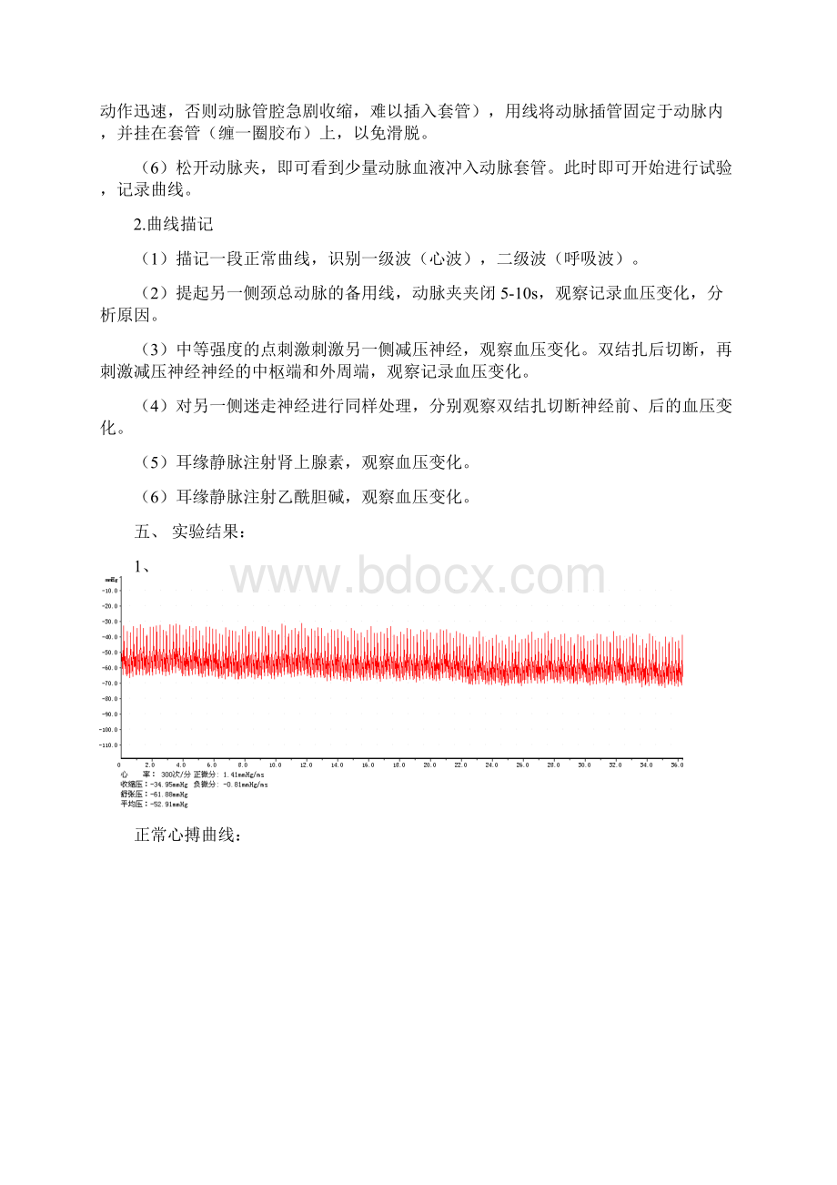 心血管活动的神经体液调节Word文档格式.docx_第2页