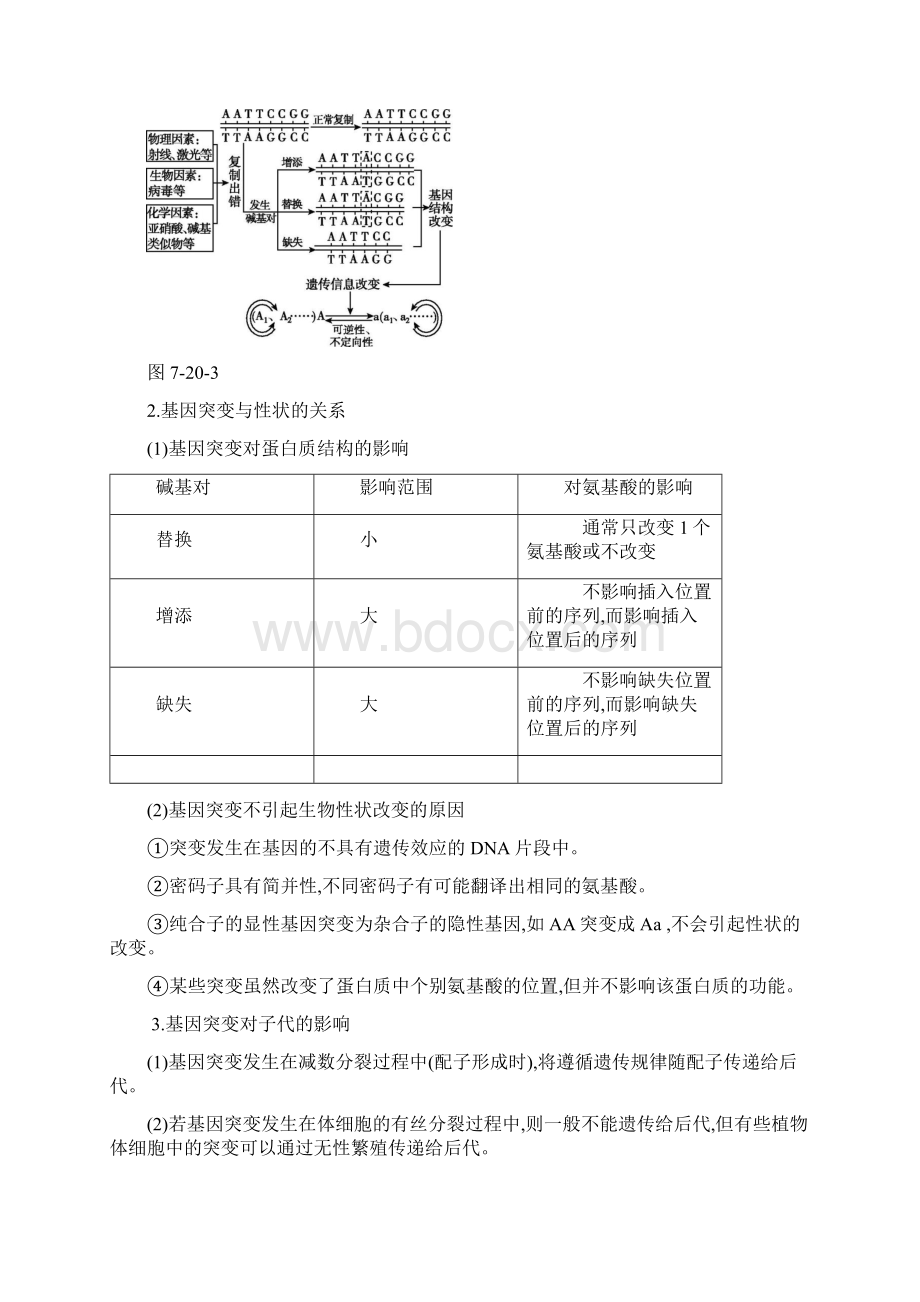 届高考生物一轮复习第7单元变异育种与进化听课学案Word文件下载.docx_第3页