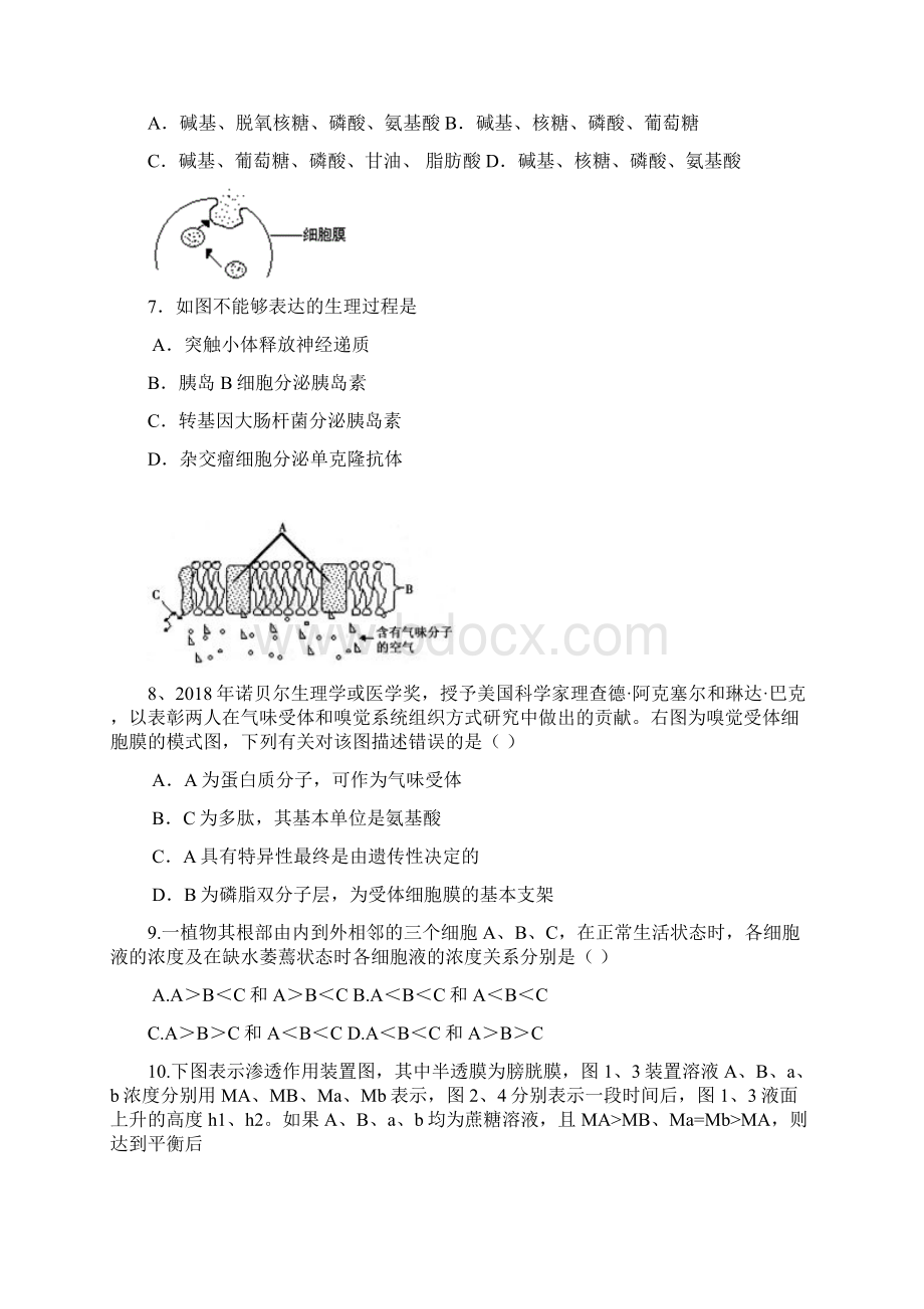 最新学年高三生物专业必修1第14章测试题 精品.docx_第2页