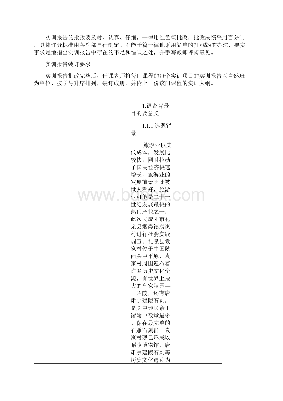 实训报告模板.docx_第2页