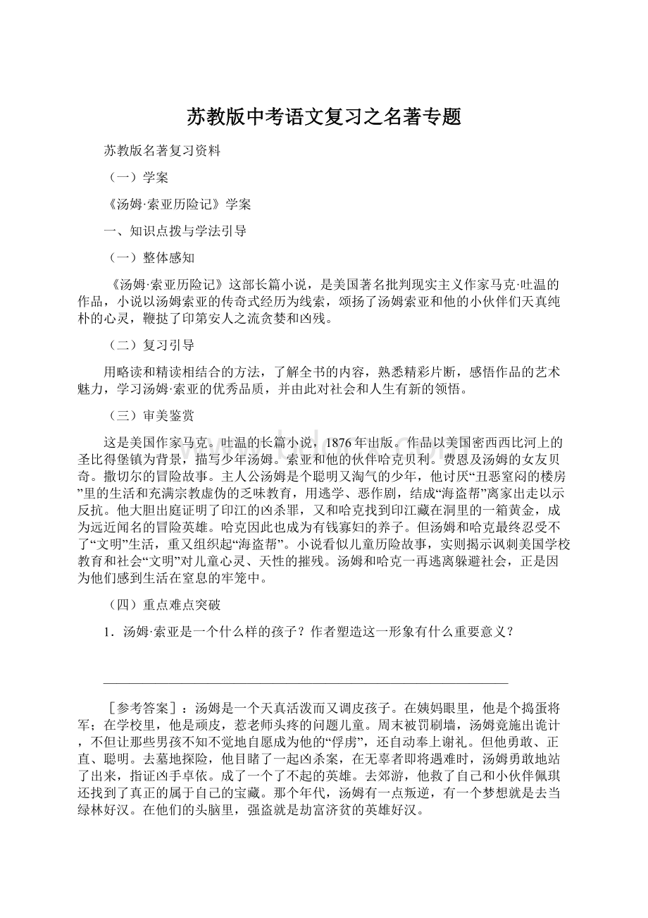 苏教版中考语文复习之名著专题Word文档下载推荐.docx