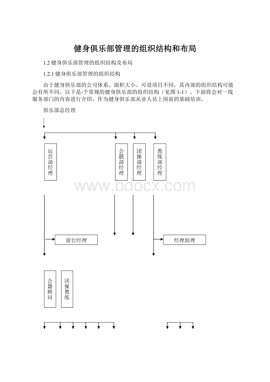 健身俱乐部管理的组织结构和布局文档格式.docx