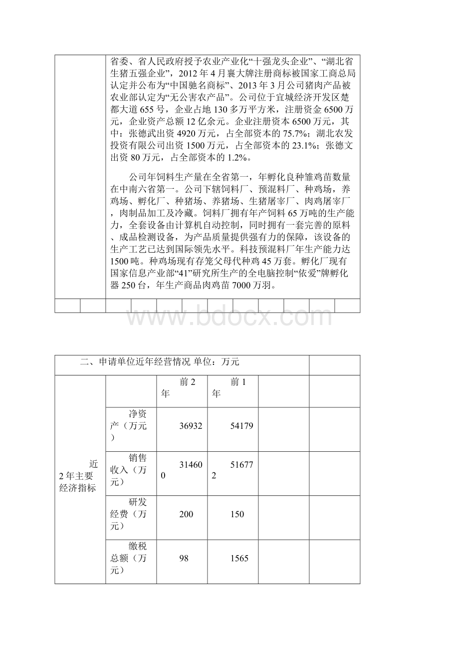 湖北省信息产业发展专项资金项目可行性研究报告Word格式.docx_第3页