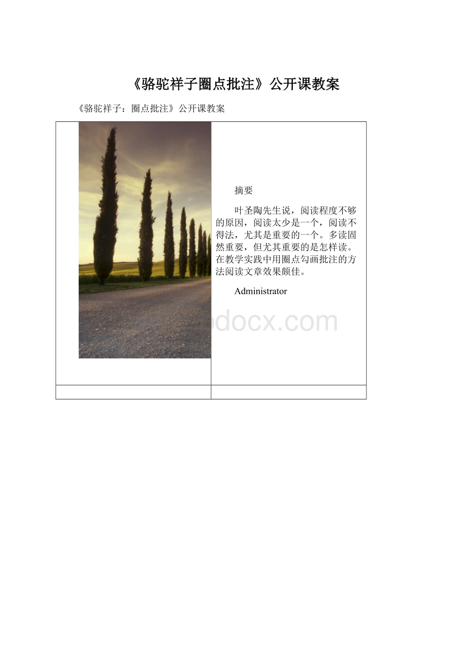 《骆驼祥子圈点批注》公开课教案Word文件下载.docx_第1页