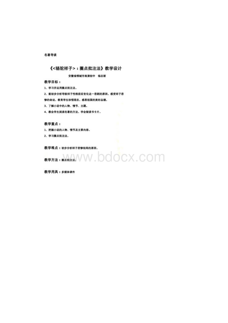 《骆驼祥子圈点批注》公开课教案Word文件下载.docx_第2页