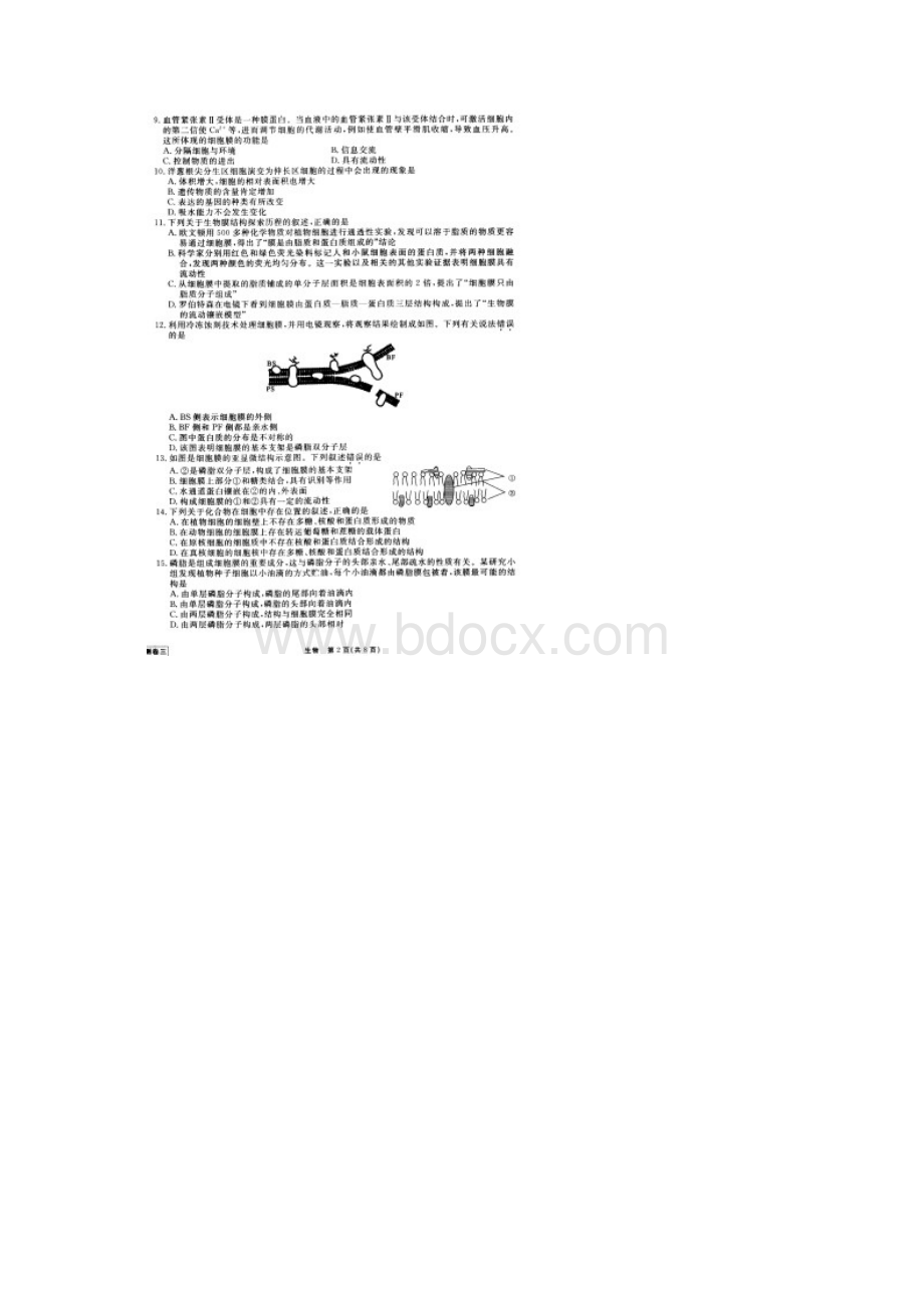 衡水金卷学年度高三一轮复习周测卷三生物考点细胞膜生物膜跨膜运输的实例方式有答案.docx_第2页