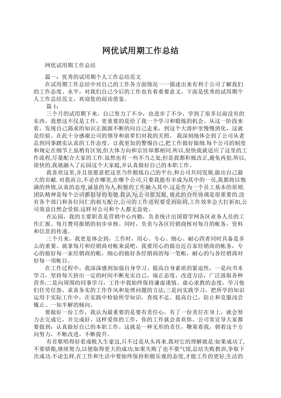 网优试用期工作总结Word文档格式.docx