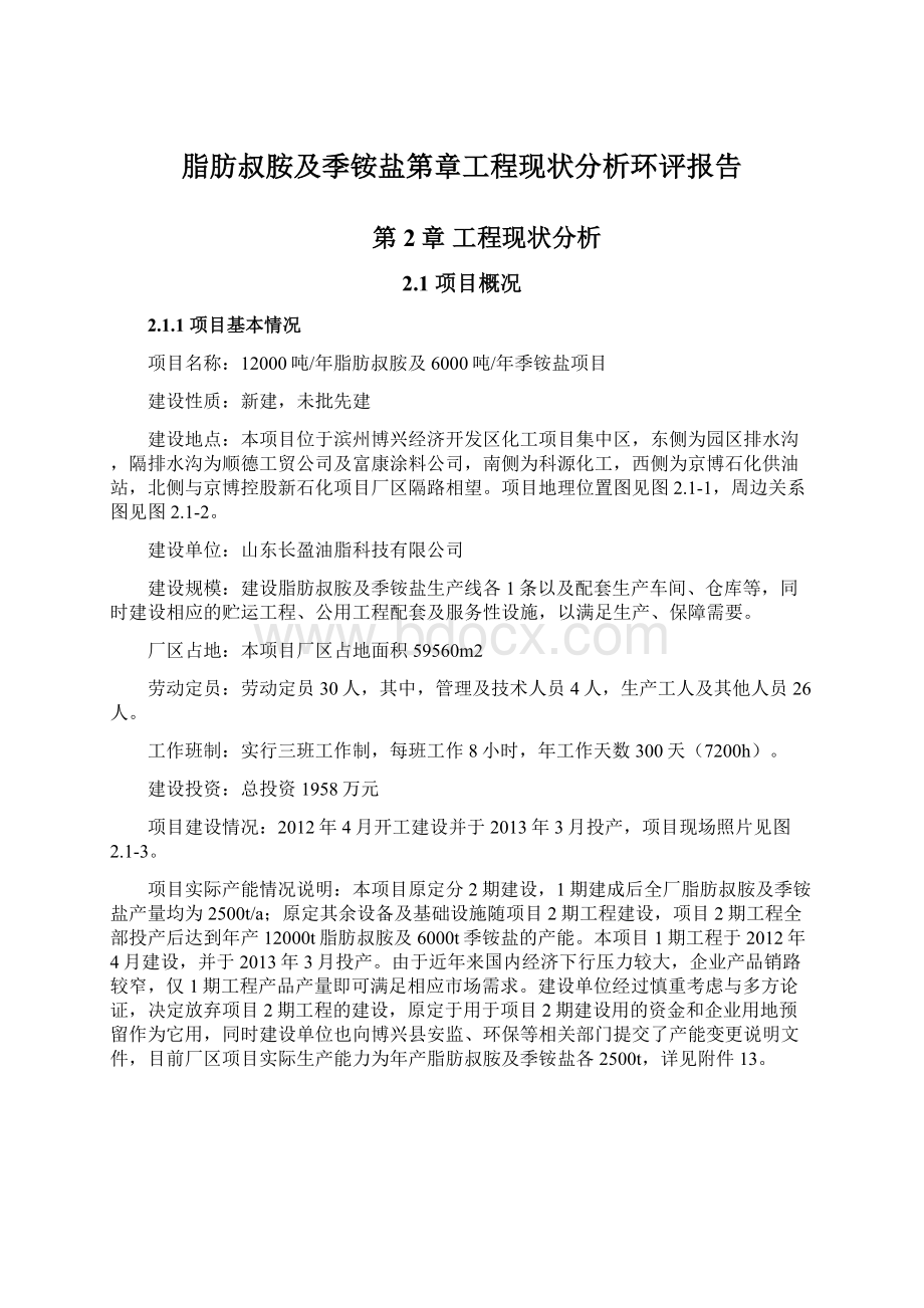 脂肪叔胺及季铵盐第章工程现状分析环评报告.docx_第1页