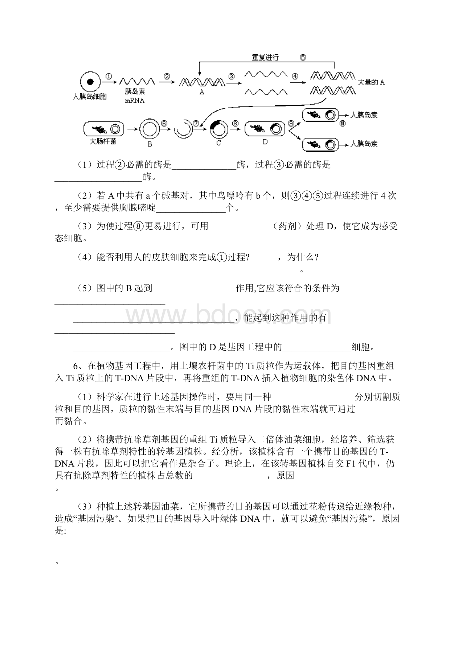 基因工程典型例题.docx_第3页