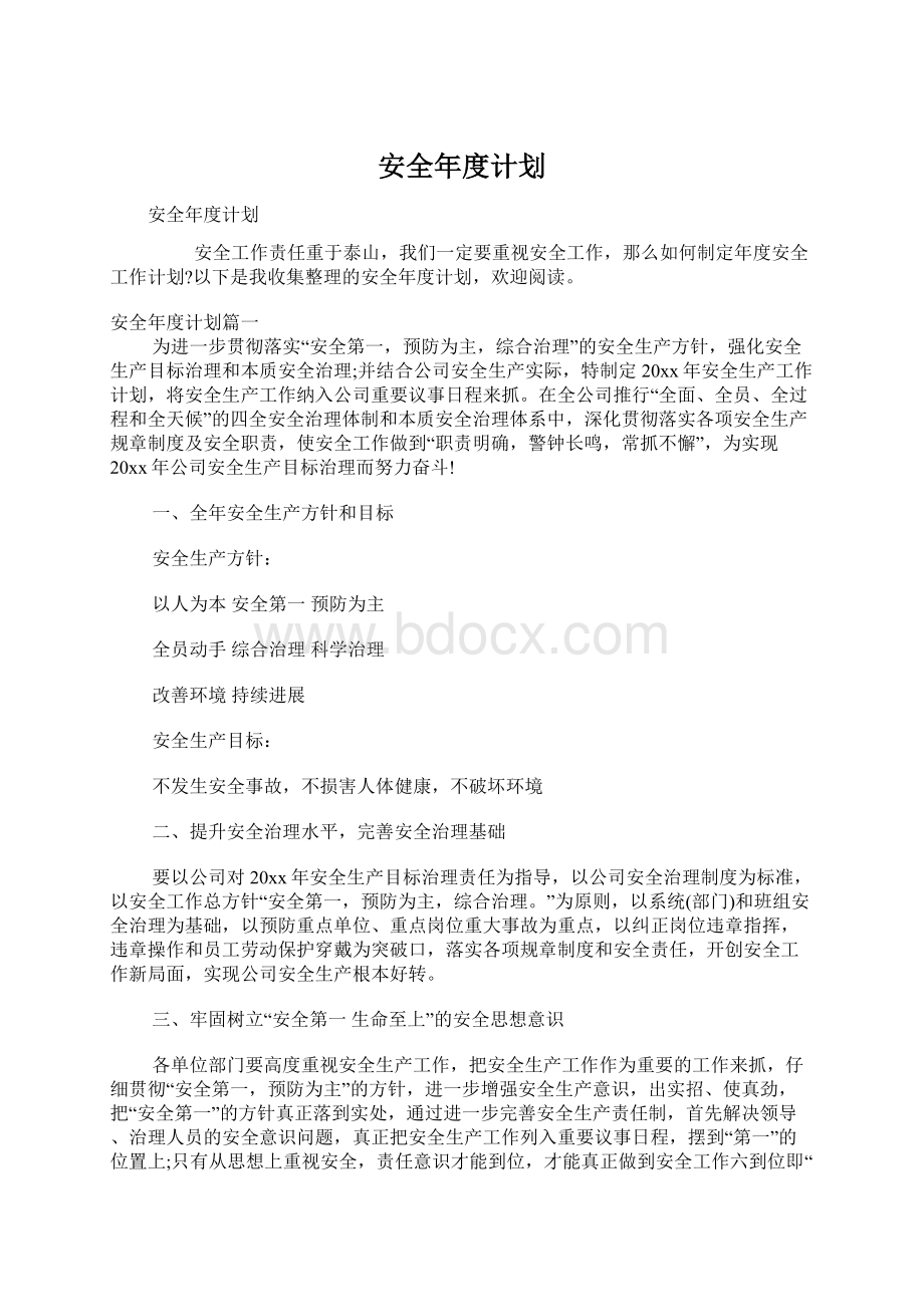 安全年度计划文档格式.docx