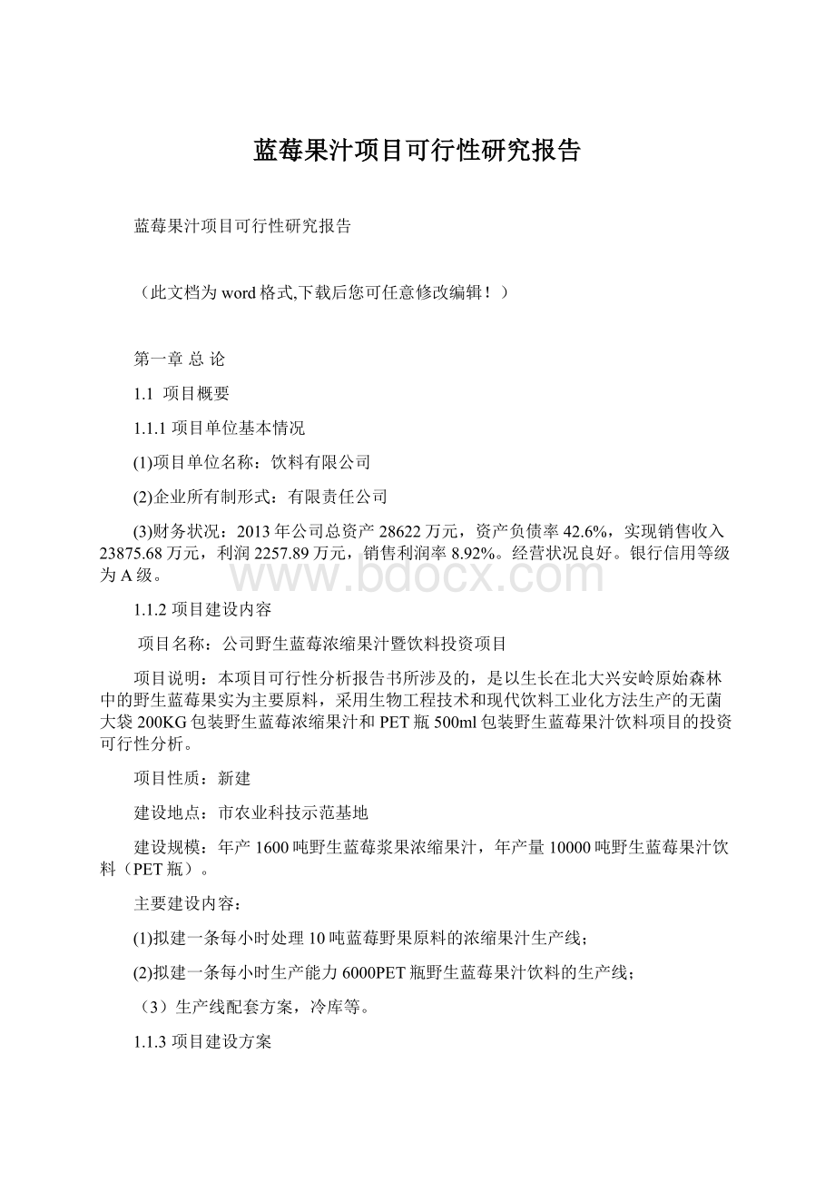 蓝莓果汁项目可行性研究报告.docx