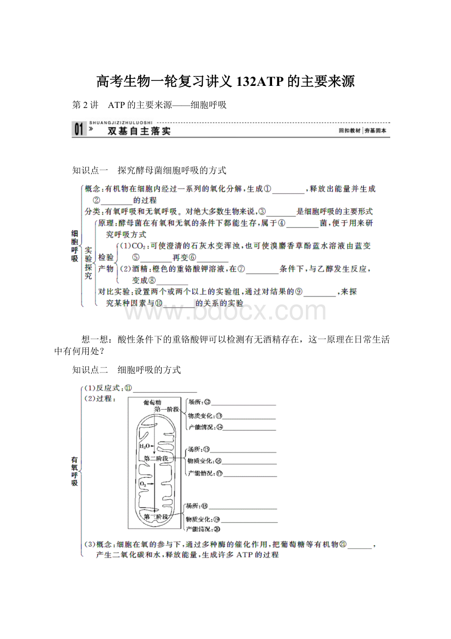 高考生物一轮复习讲义132ATP的主要来源Word文档下载推荐.docx