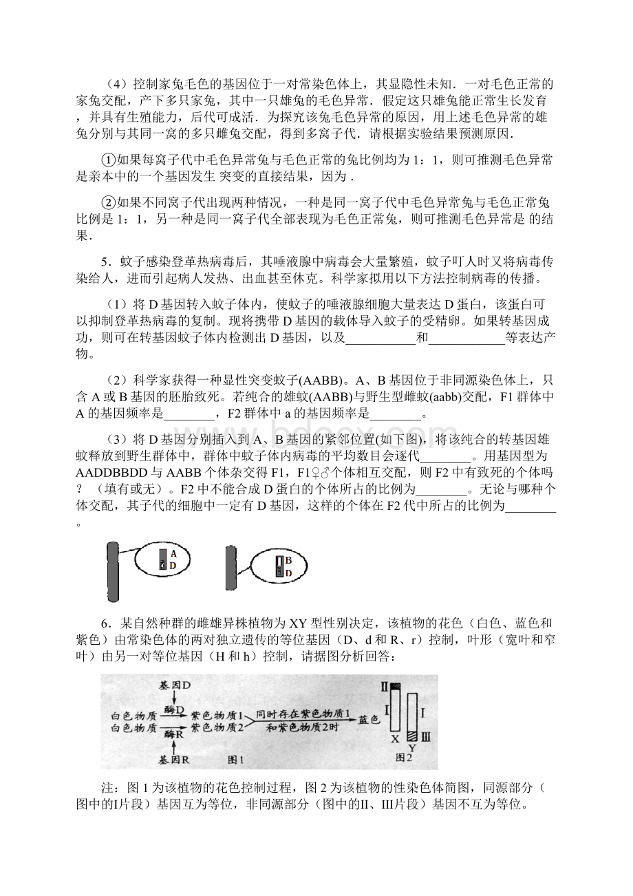 遗传大题练习Word下载.docx_第3页