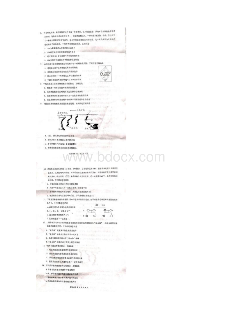 届安徽省淮北市宿州市高三第一次模拟考试生物试题 扫描版.docx_第2页