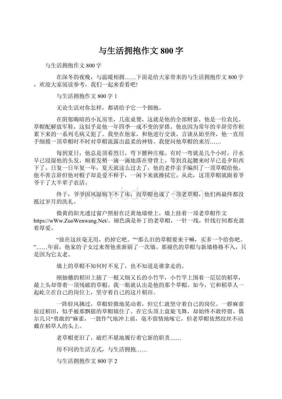 与生活拥抱作文800字文档格式.docx