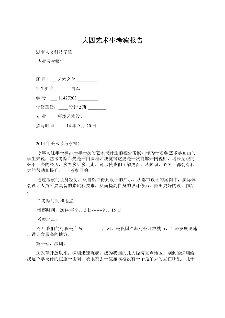 大四艺术生考察报告文档格式.docx