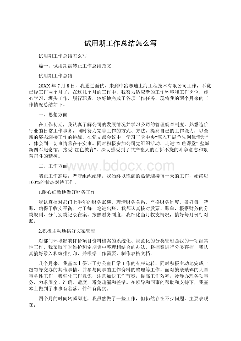 试用期工作总结怎么写Word文档下载推荐.docx