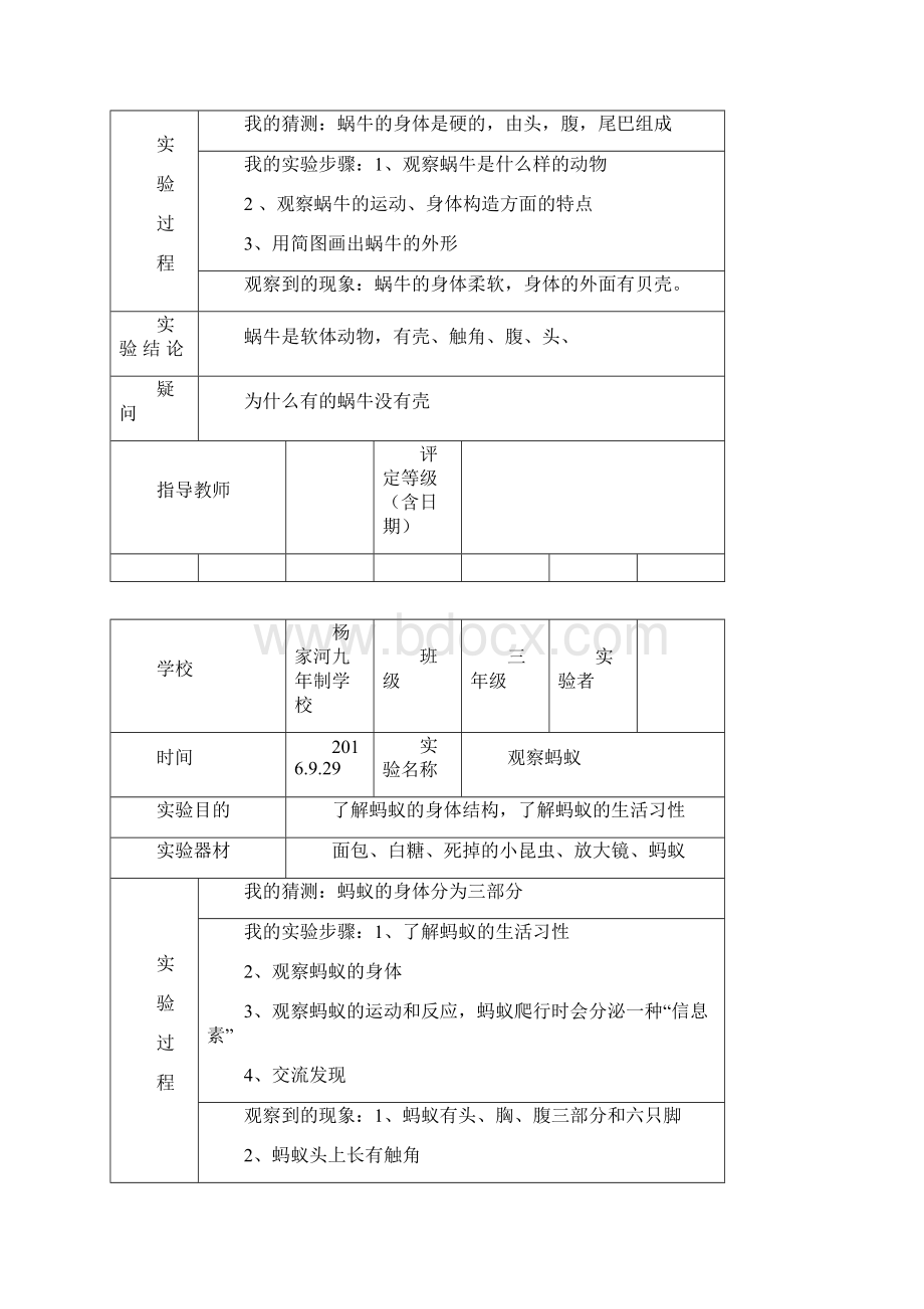 最新教科版三年级上册科学实验报告单汇总.docx_第3页