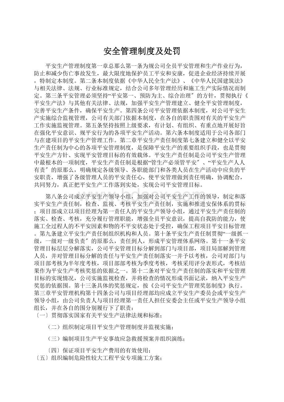 安全管理制度及处罚.docx