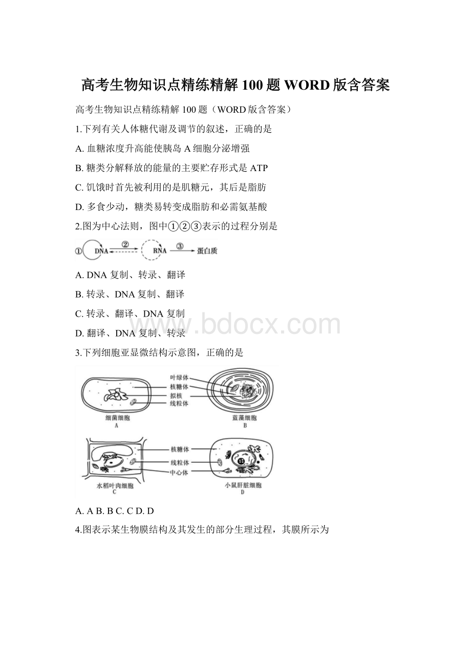 高考生物知识点精练精解100题WORD版含答案Word文档格式.docx