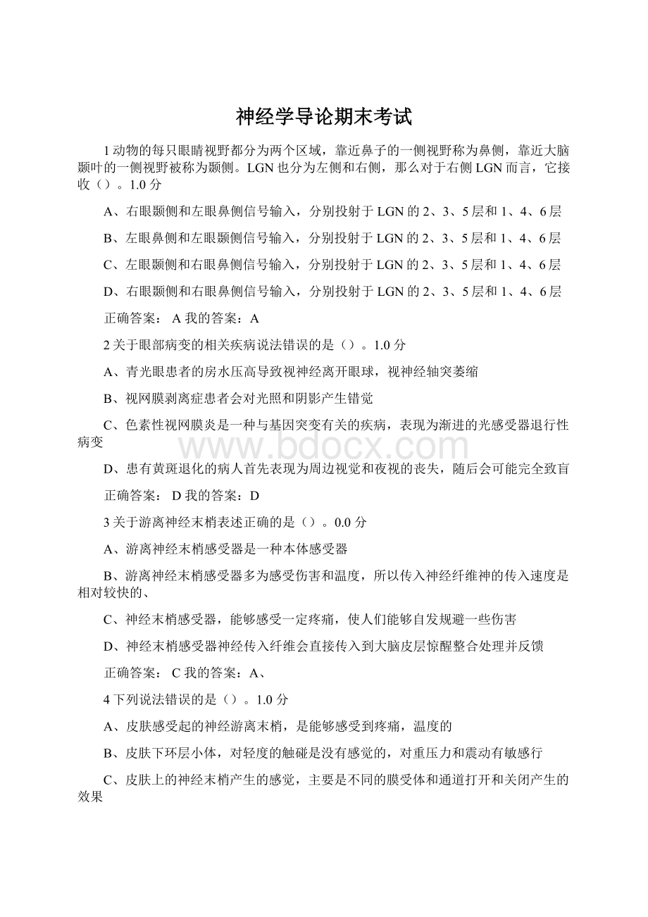 神经学导论期末考试Word下载.docx_第1页