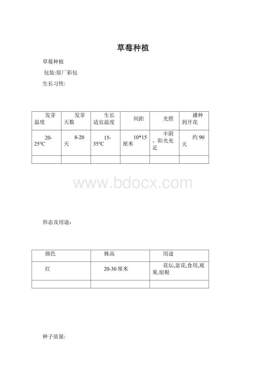 草莓种植Word文档格式.docx