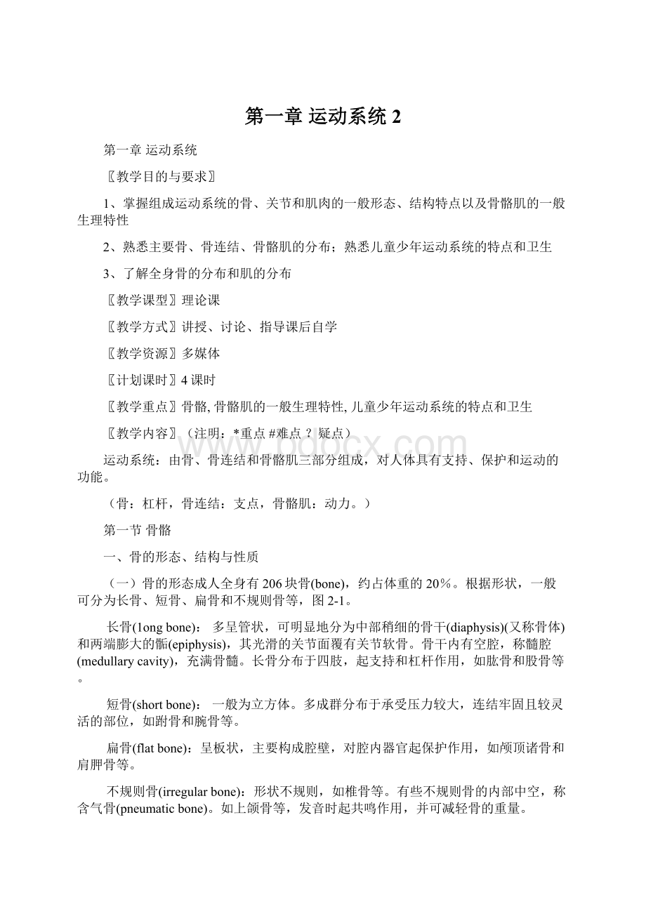 第一章运动系统2.docx_第1页