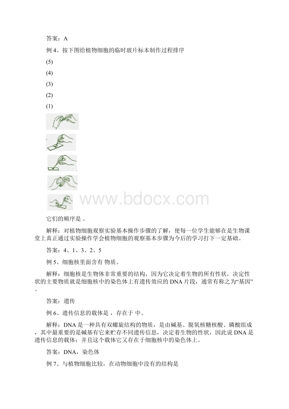 第二单元生物体的结构层次复习课讲学案文档格式.docx_第3页