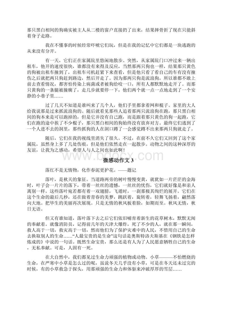 微感动作文文档格式.docx_第2页