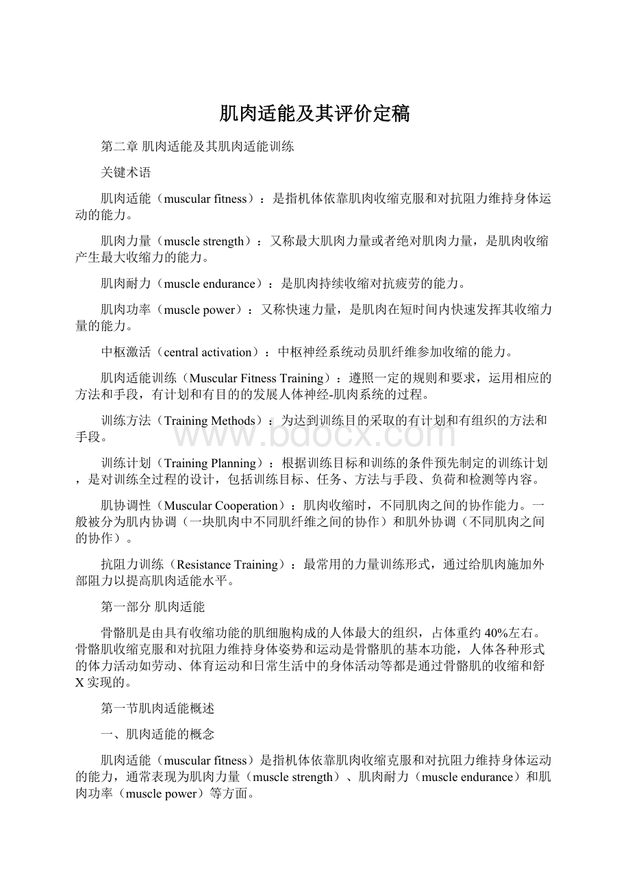 肌肉适能及其评价定稿Word文件下载.docx