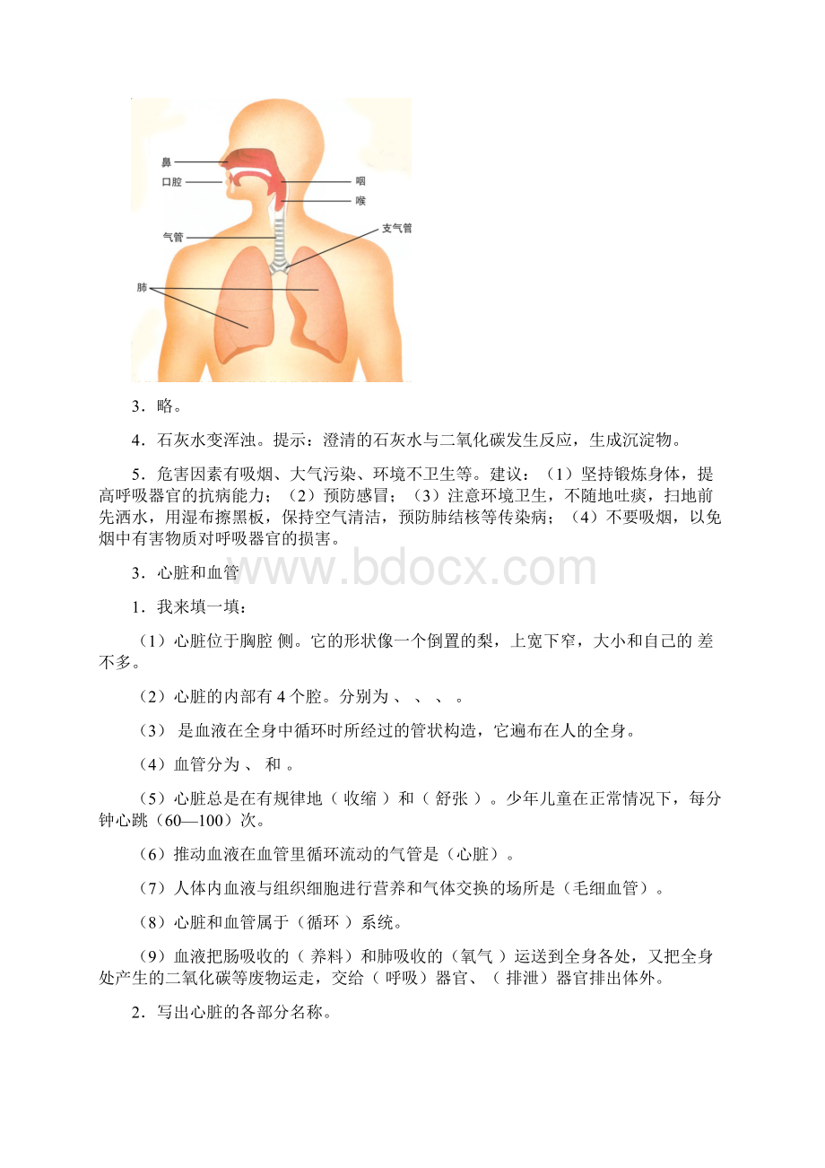 青岛版五年级科学下册各课知识点.docx_第3页