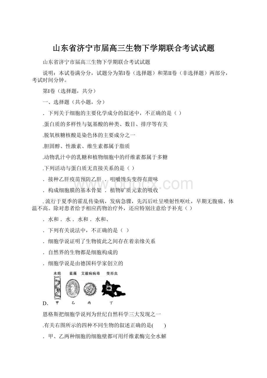 山东省济宁市届高三生物下学期联合考试试题Word文档下载推荐.docx