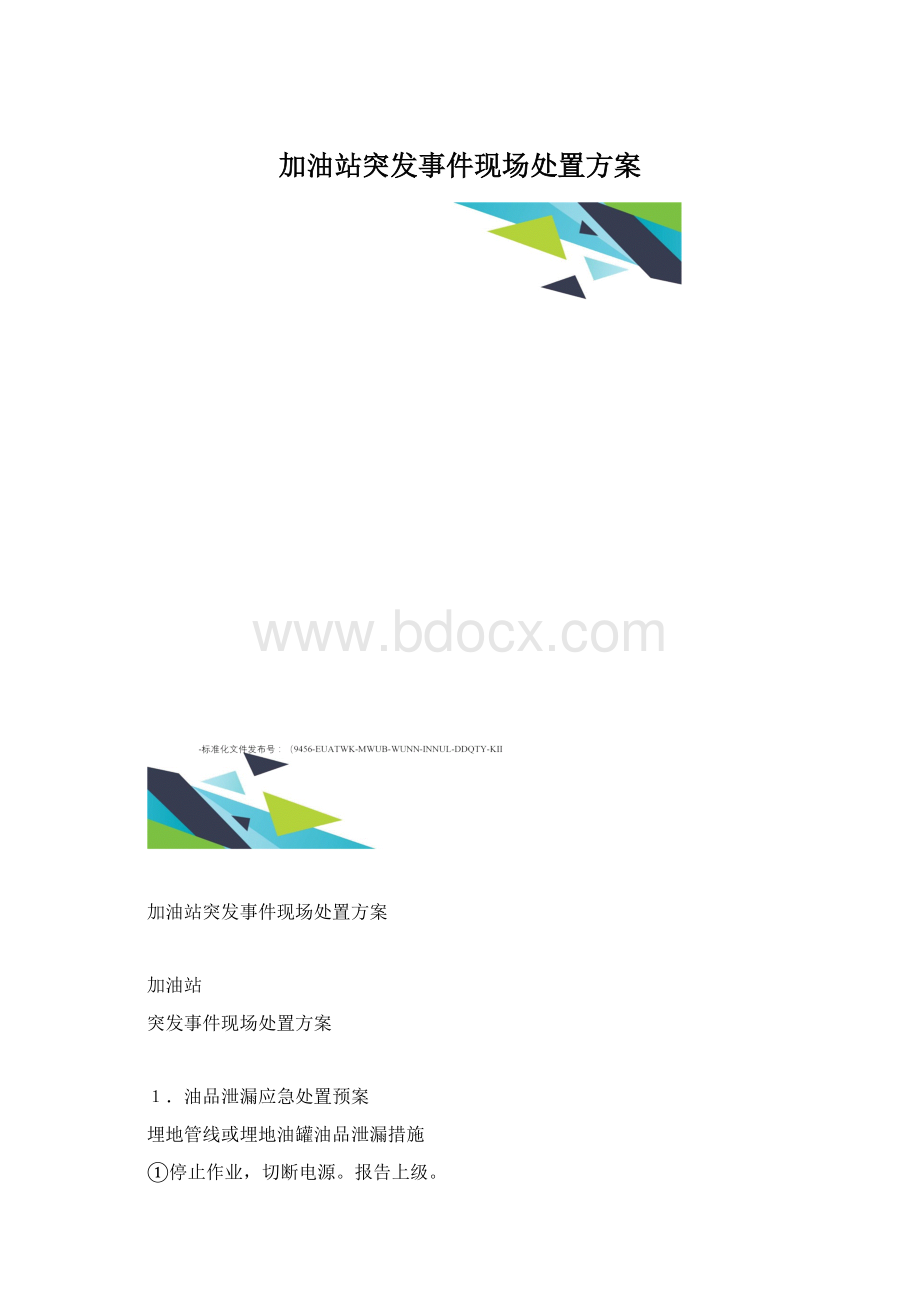 加油站突发事件现场处置方案文档格式.docx