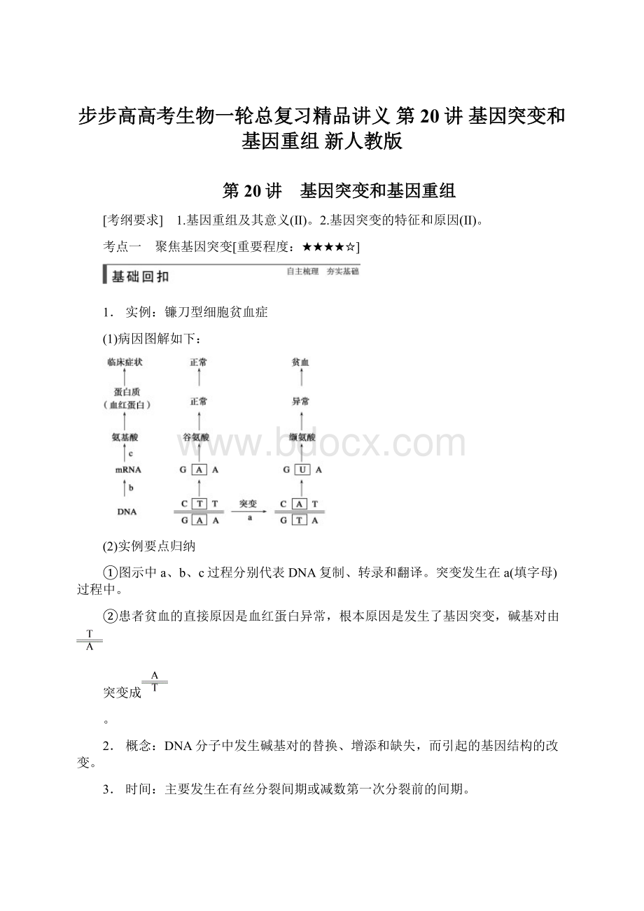 步步高高考生物一轮总复习精品讲义 第20讲 基因突变和基因重组 新人教版.docx_第1页