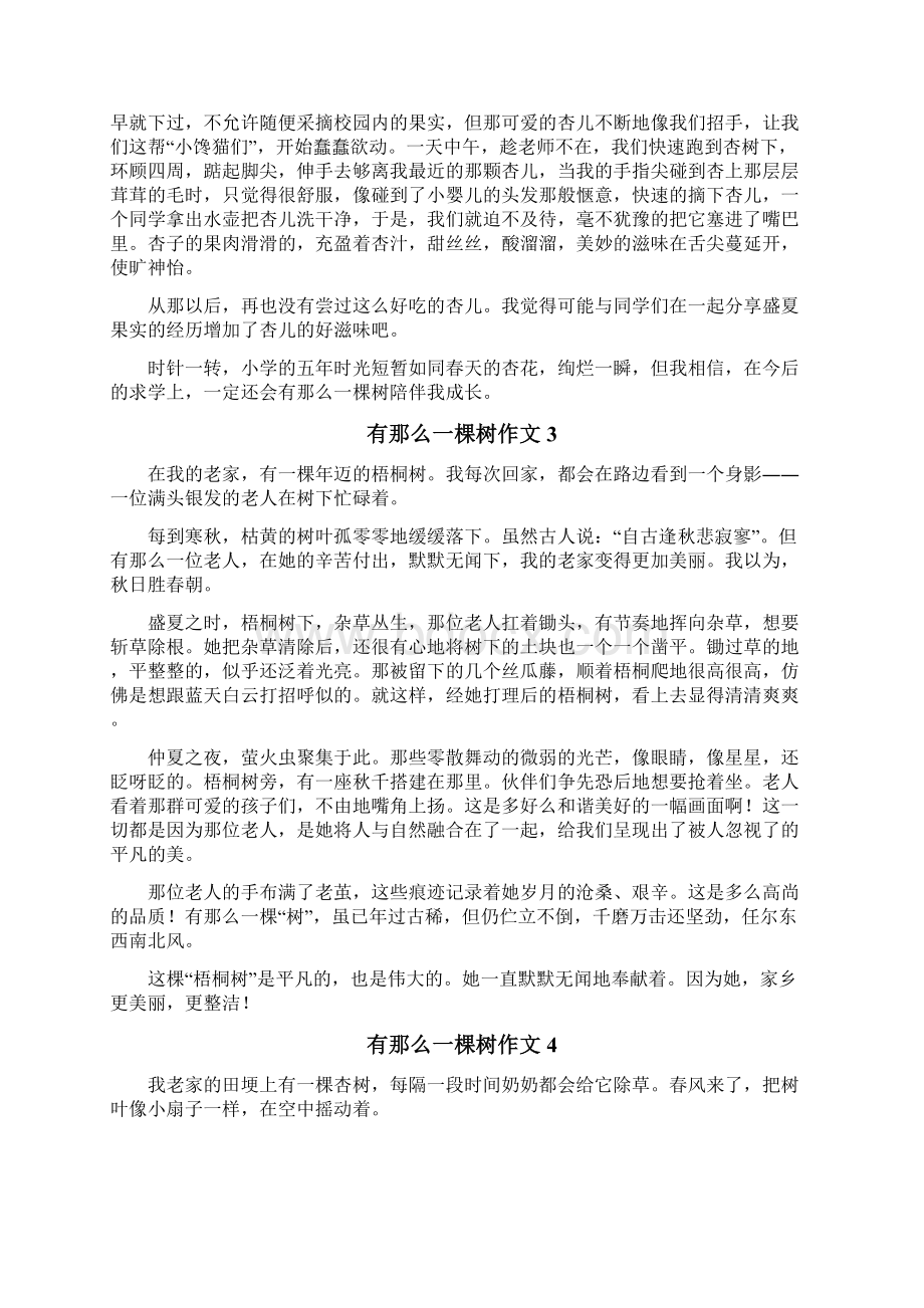 有那么一棵树作文.docx_第2页