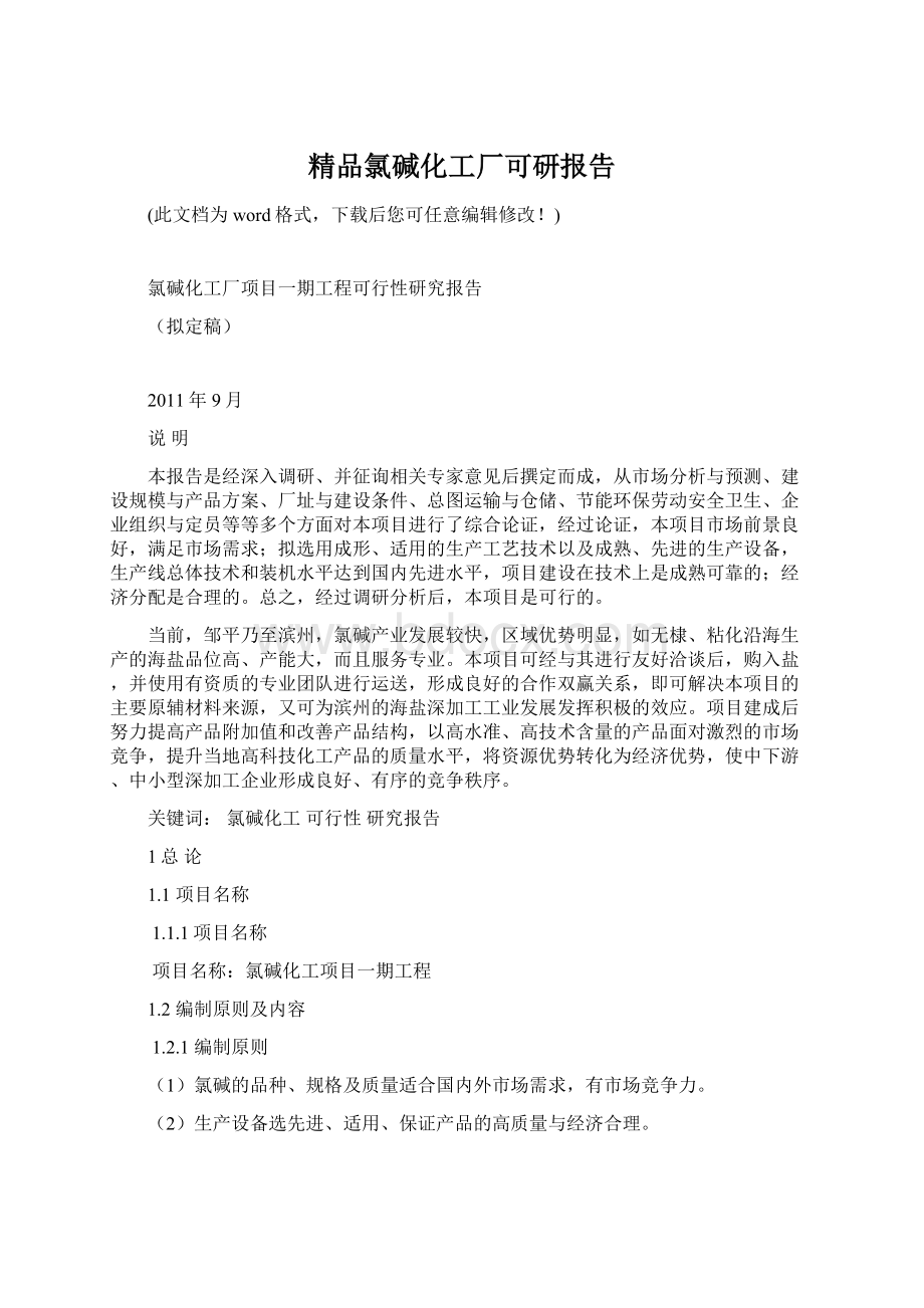 精品氯碱化工厂可研报告Word格式.docx