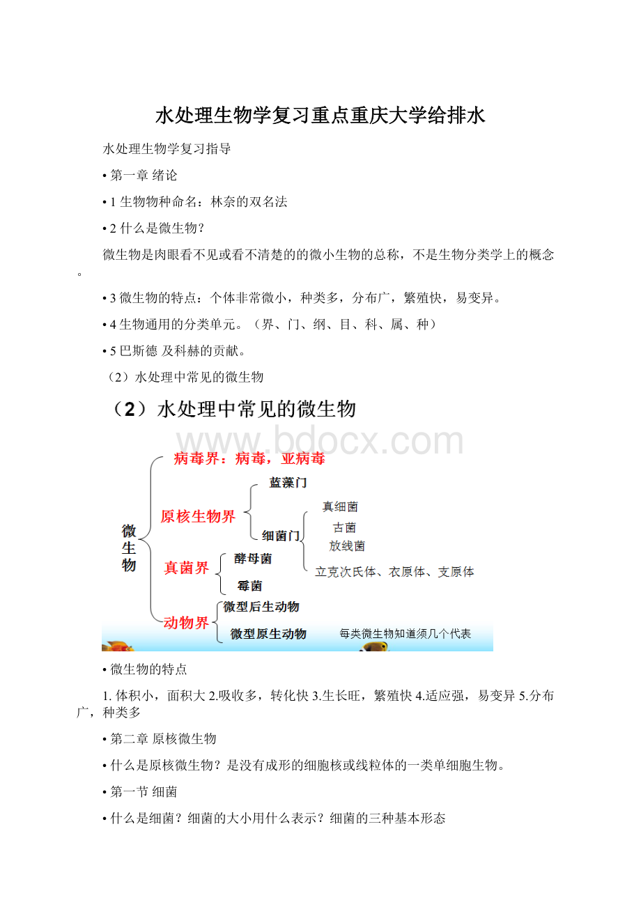 水处理生物学复习重点重庆大学给排水.docx