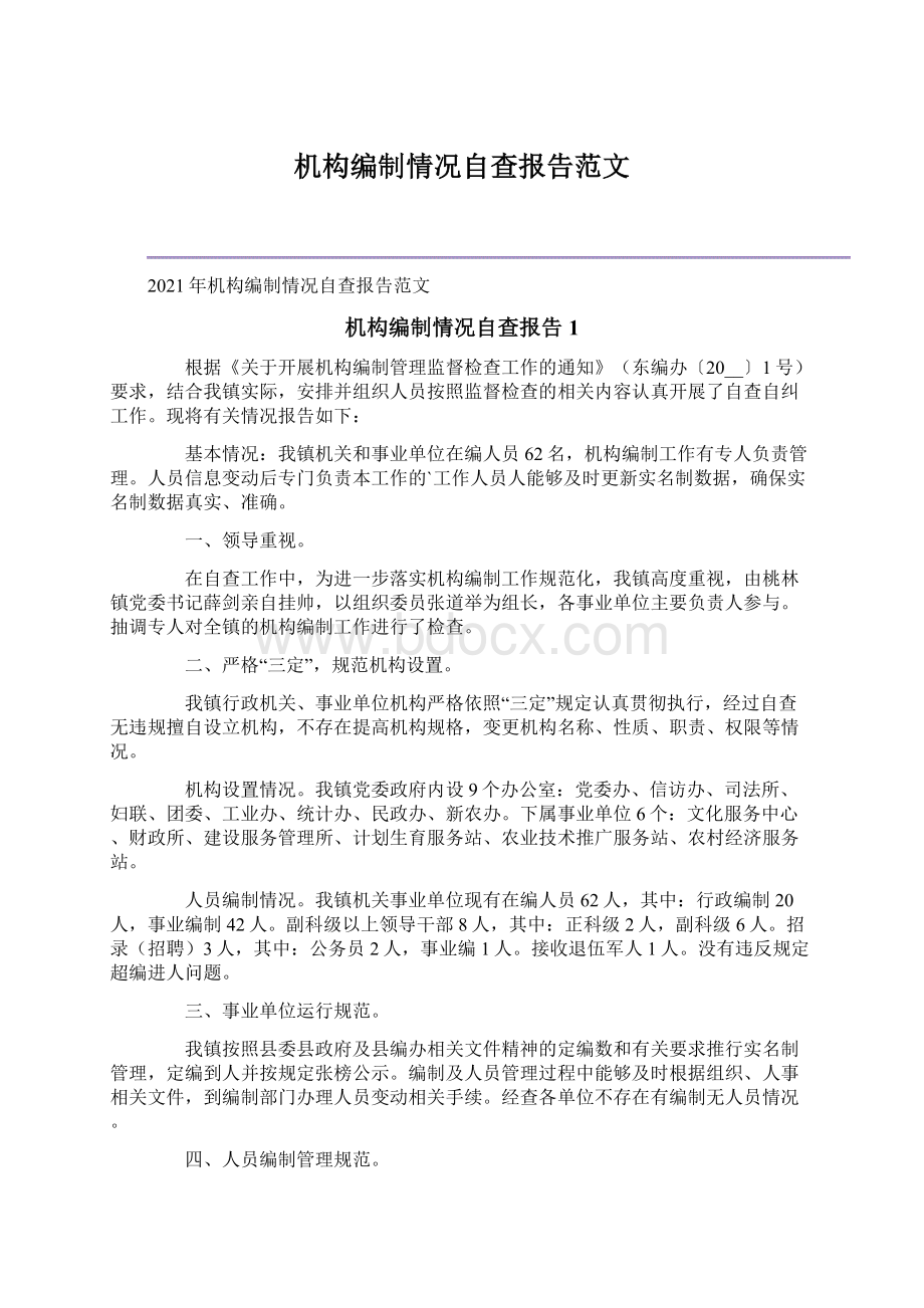 机构编制情况自查报告范文Word文档格式.docx