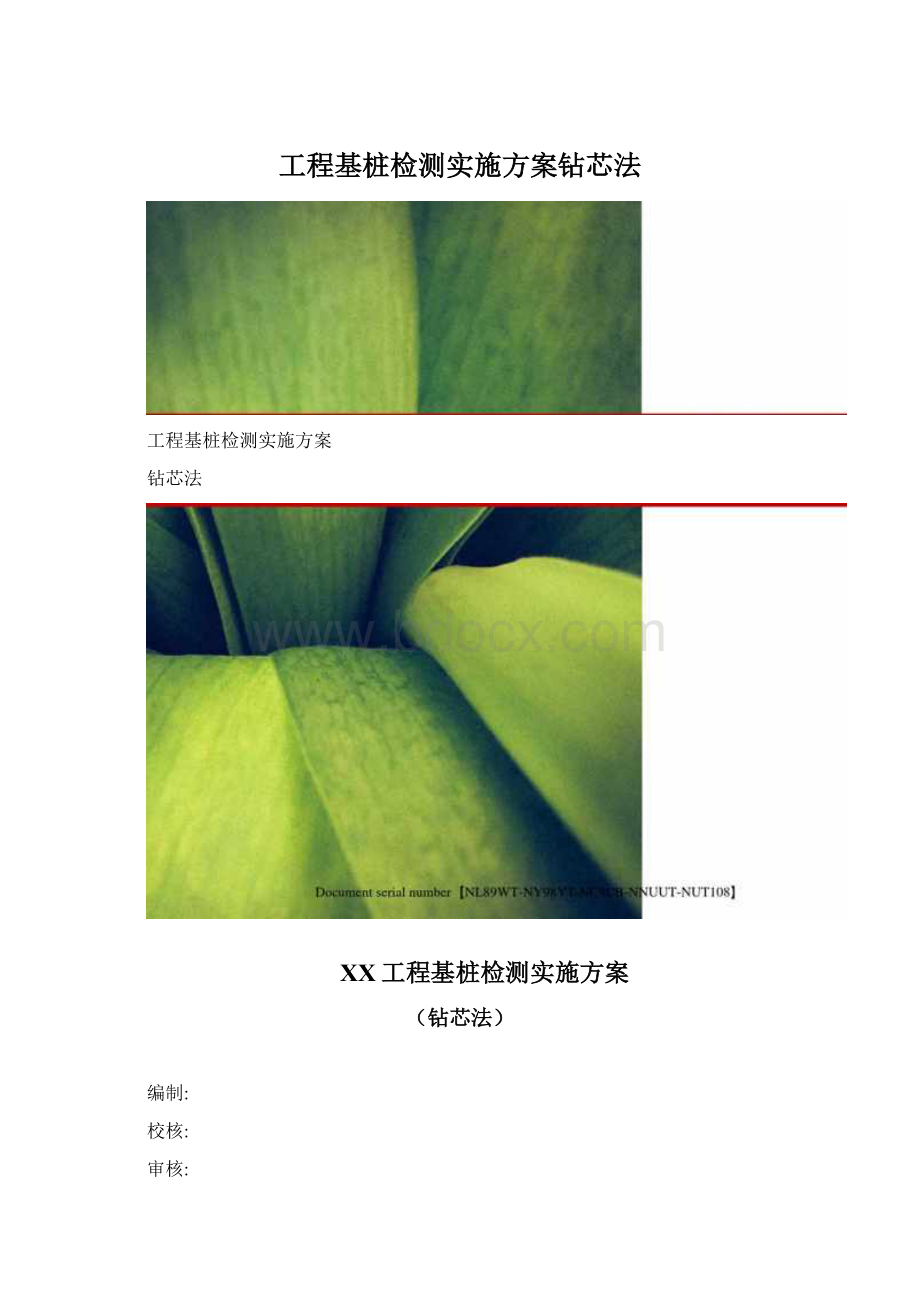 工程基桩检测实施方案钻芯法Word文档下载推荐.docx_第1页