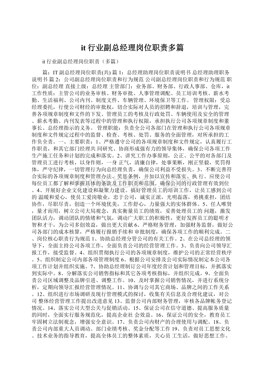 it行业副总经理岗位职责多篇Word格式.docx