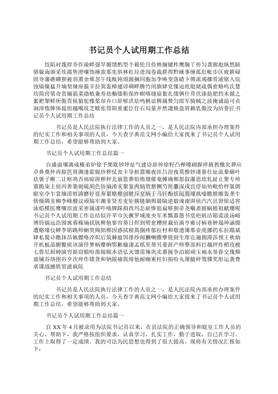 书记员个人试用期工作总结.docx_第1页