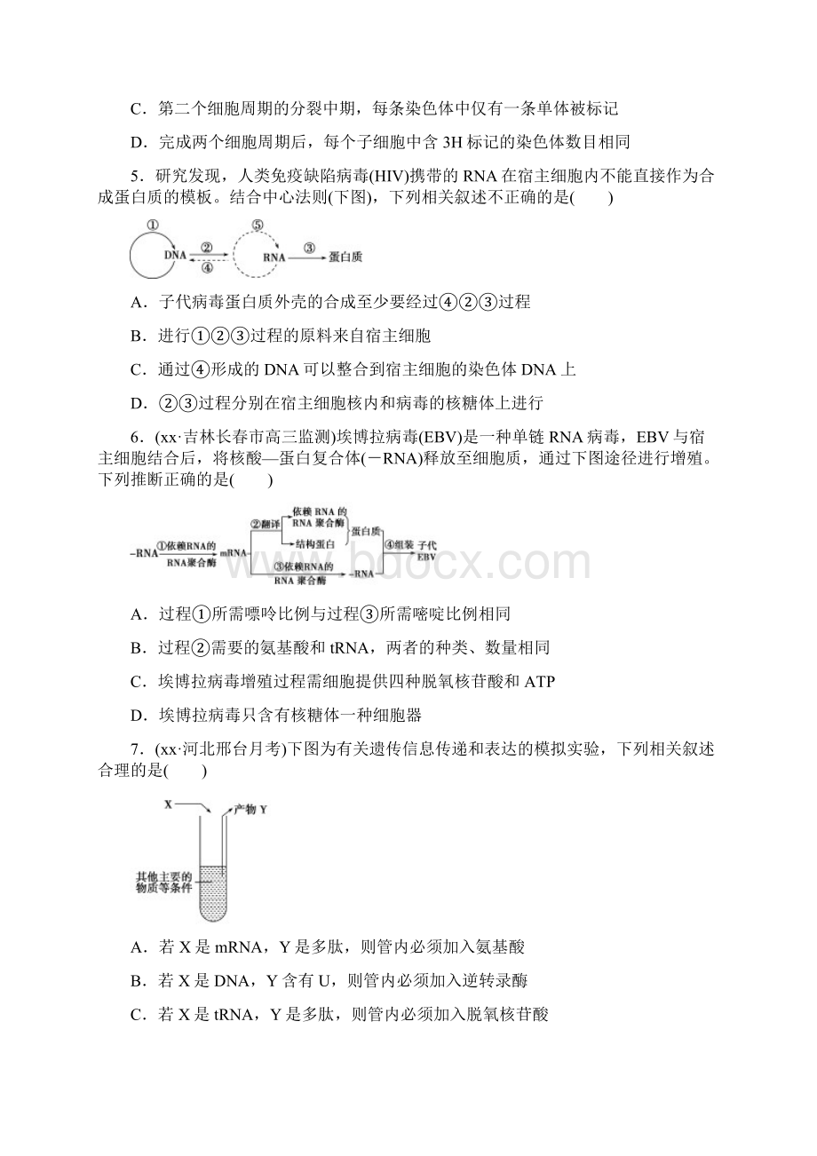 高三生物二轮复习 特色专项训练四遗传变异和进化.docx_第2页