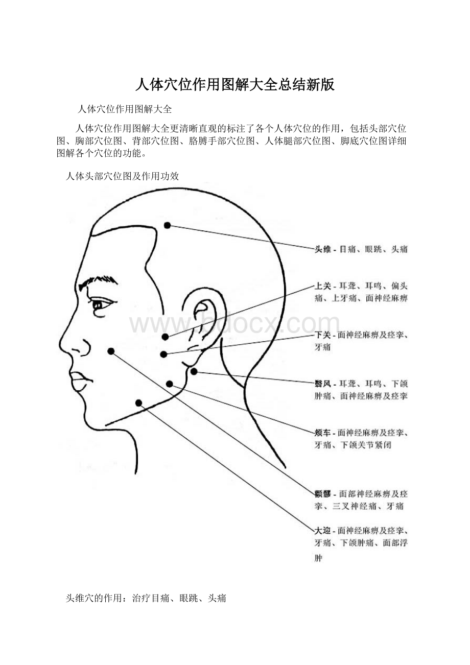 人体穴位作用图解大全总结新版.docx