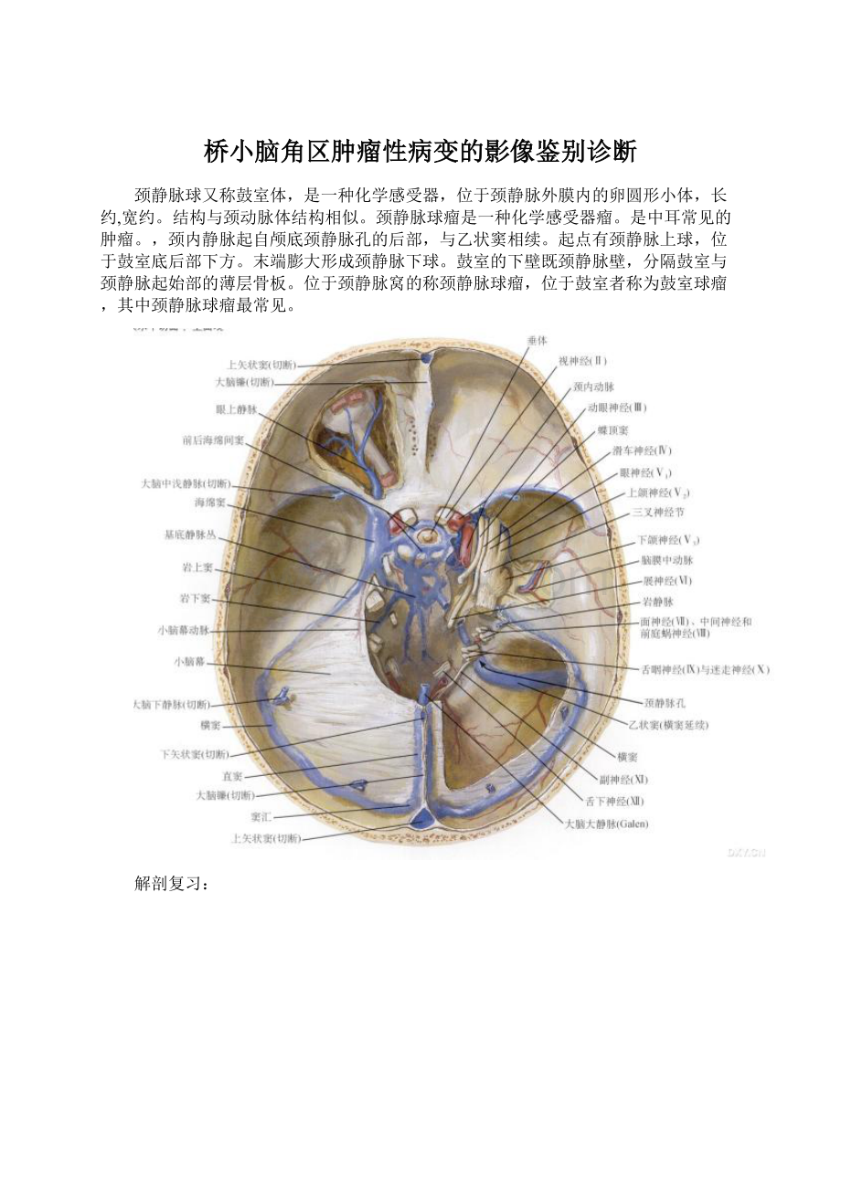 桥小脑角区肿瘤性病变的影像鉴别诊断文档格式.docx_第1页