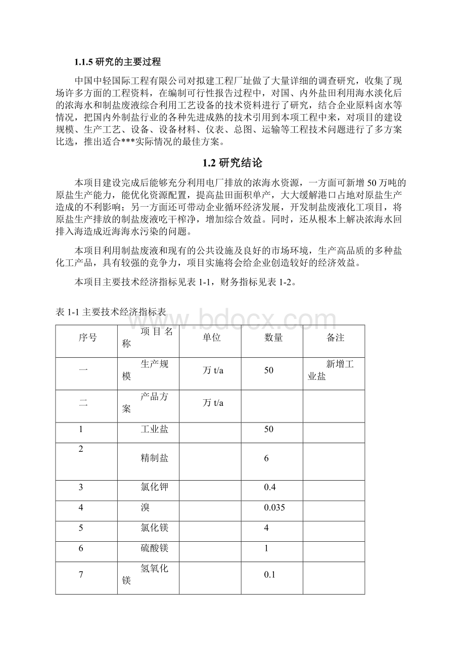 盐业可行性报告.docx_第3页