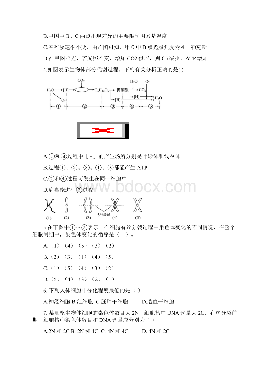 套卷江西省南昌三中届高三第二次月考生物试题Word格式.docx_第2页