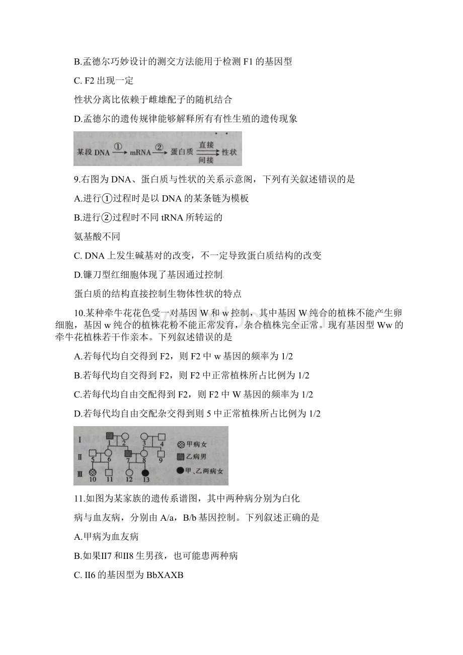 生物Word格式文档下载.docx_第3页