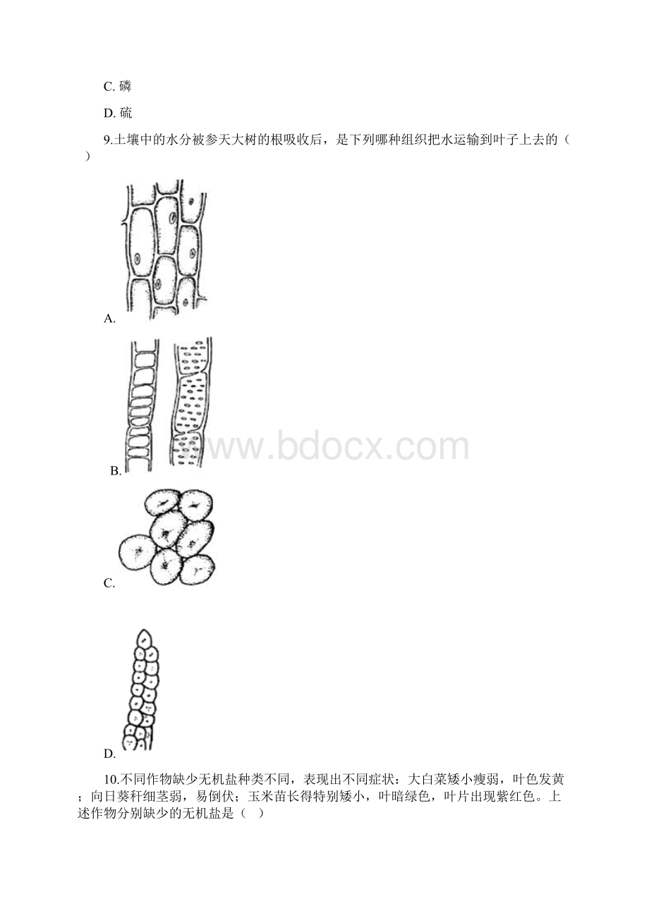 华师大版科学八年级上综合训练43无机盐在植物体内的代谢.docx_第3页